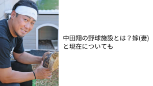 アイキャッチ画像