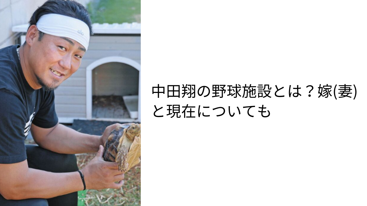 アイキャッチ画像