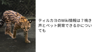 アイキャッチ画像です